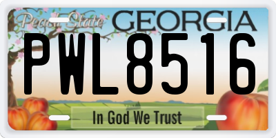 GA license plate PWL8516