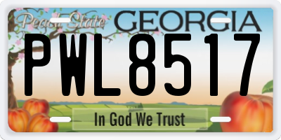 GA license plate PWL8517