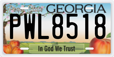 GA license plate PWL8518