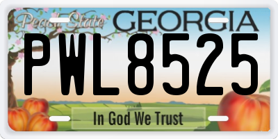 GA license plate PWL8525