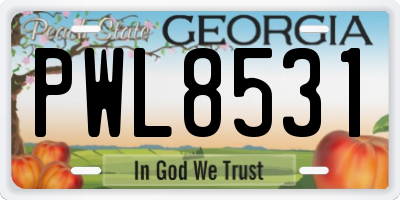GA license plate PWL8531