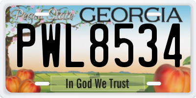 GA license plate PWL8534