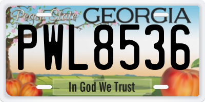 GA license plate PWL8536