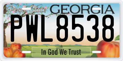 GA license plate PWL8538
