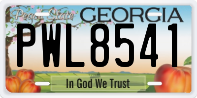 GA license plate PWL8541