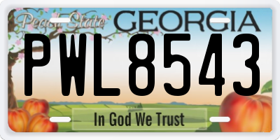 GA license plate PWL8543