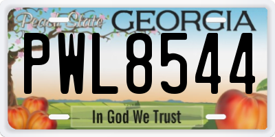 GA license plate PWL8544