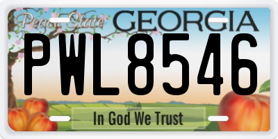 GA license plate PWL8546