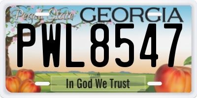 GA license plate PWL8547