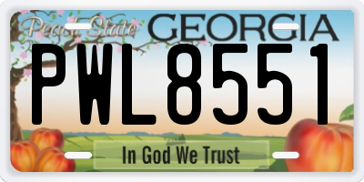 GA license plate PWL8551