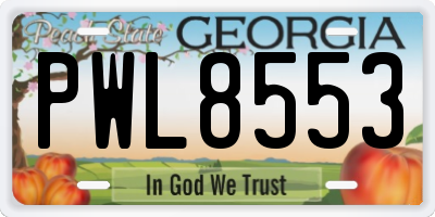 GA license plate PWL8553