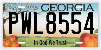 GA license plate PWL8554
