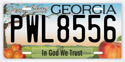 GA license plate PWL8556