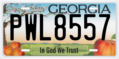 GA license plate PWL8557