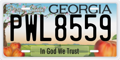 GA license plate PWL8559