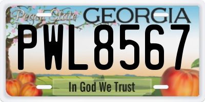 GA license plate PWL8567