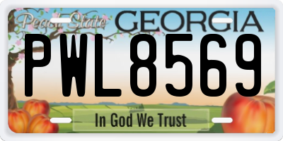 GA license plate PWL8569