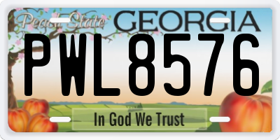 GA license plate PWL8576