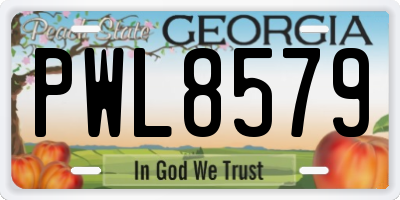 GA license plate PWL8579