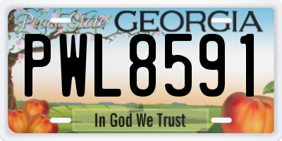 GA license plate PWL8591