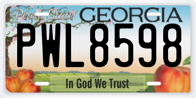 GA license plate PWL8598