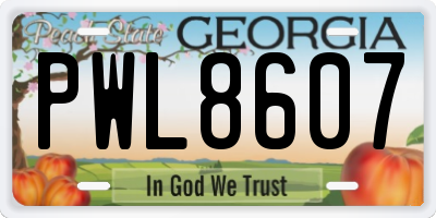 GA license plate PWL8607