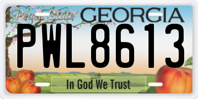GA license plate PWL8613