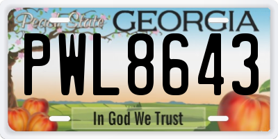 GA license plate PWL8643