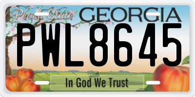 GA license plate PWL8645