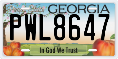 GA license plate PWL8647