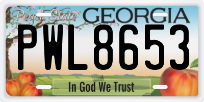 GA license plate PWL8653