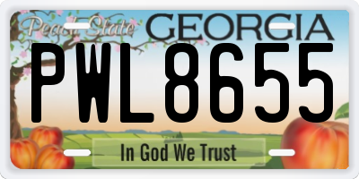 GA license plate PWL8655