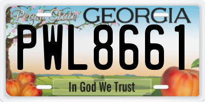 GA license plate PWL8661