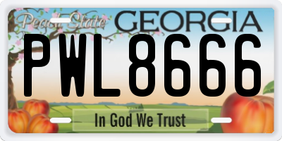 GA license plate PWL8666