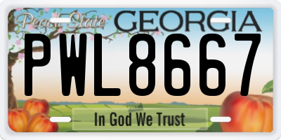 GA license plate PWL8667