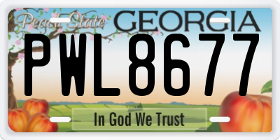 GA license plate PWL8677
