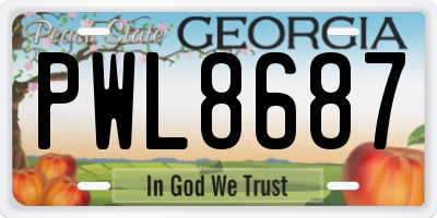 GA license plate PWL8687