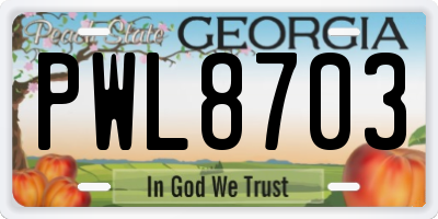 GA license plate PWL8703