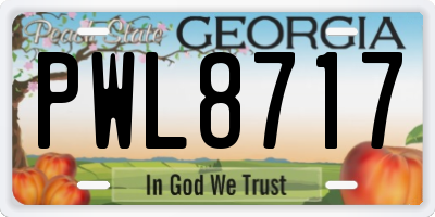 GA license plate PWL8717