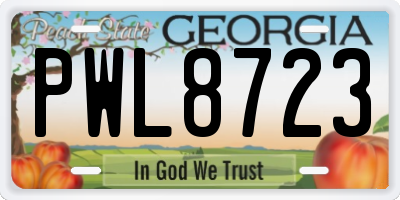 GA license plate PWL8723