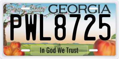 GA license plate PWL8725