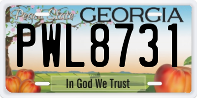 GA license plate PWL8731