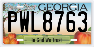 GA license plate PWL8763