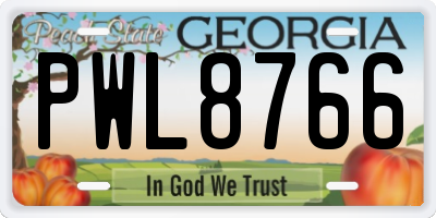 GA license plate PWL8766