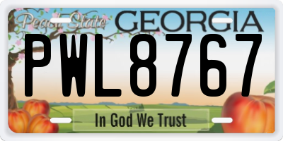 GA license plate PWL8767