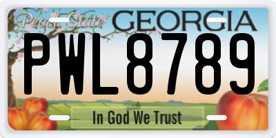 GA license plate PWL8789