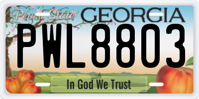 GA license plate PWL8803