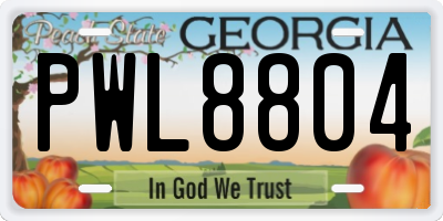 GA license plate PWL8804