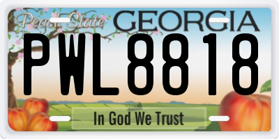 GA license plate PWL8818