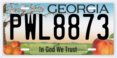 GA license plate PWL8873